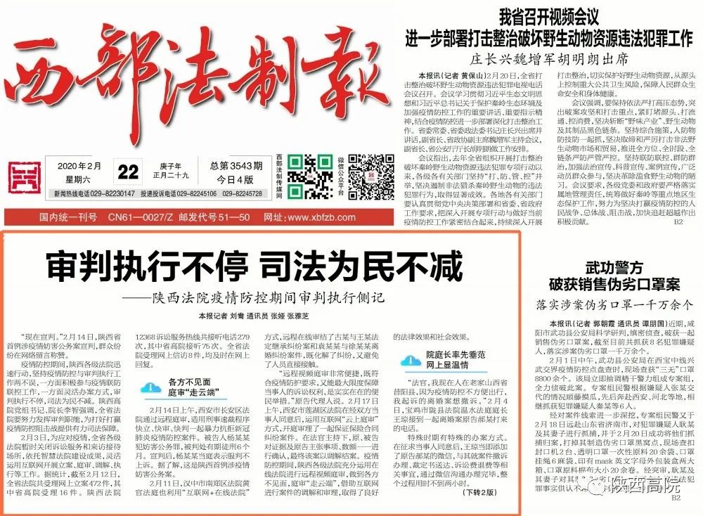 重庆新闻：城市脉动里的新机遇